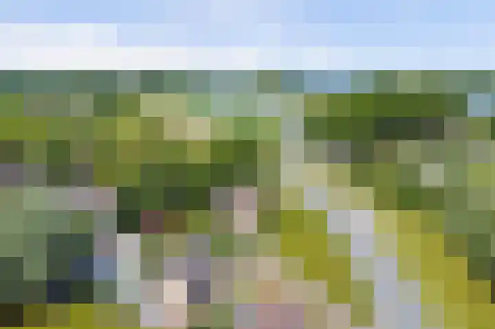 Kom Lekdijk 55 Lexmond thumbnail 49