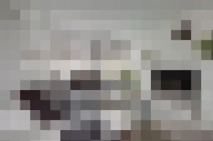 Kombuisstraat 32 Dronten thumbnail 8