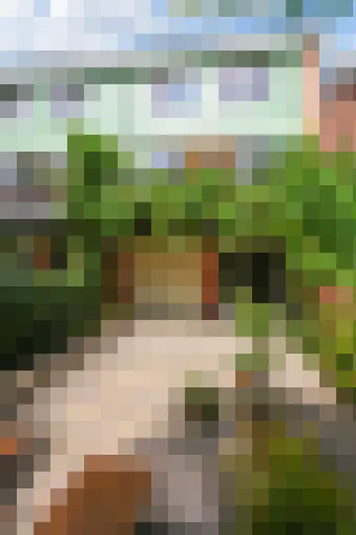 Kometensingel 176 Amsterdam thumbnail 40