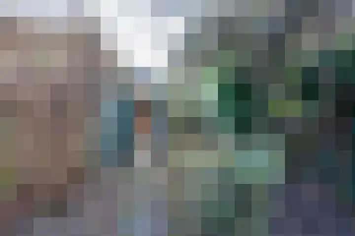 Kometensingel 371 Amsterdam thumbnail 19