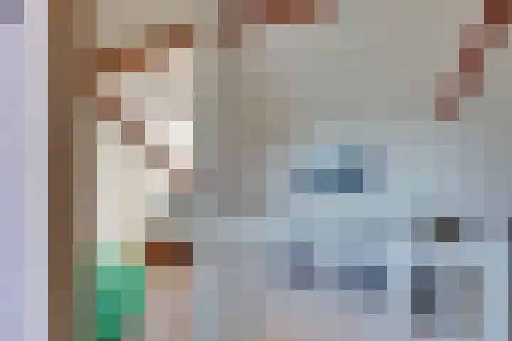 Kometensingel 371 Amsterdam thumbnail 38