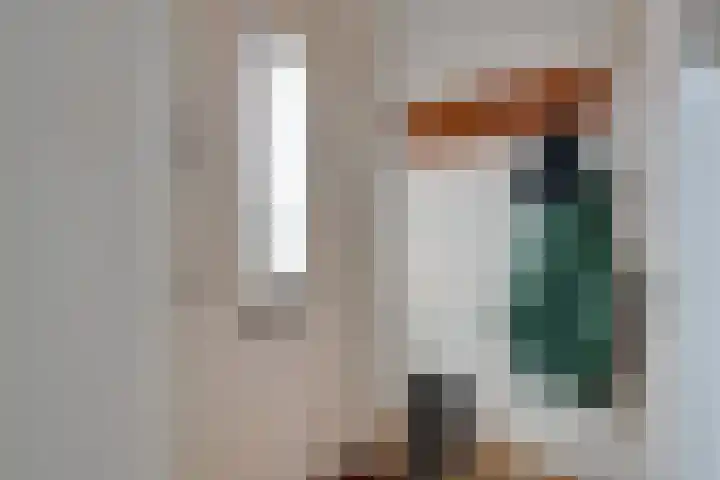 Kometensingel 371 Amsterdam thumbnail 43