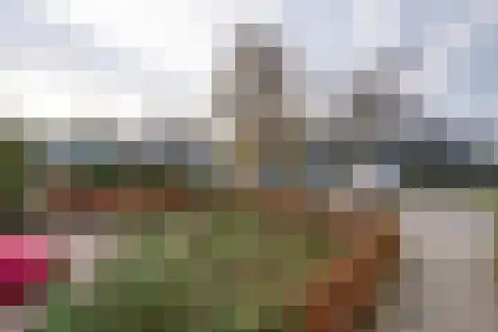 Kometensingel 371 Amsterdam thumbnail 48