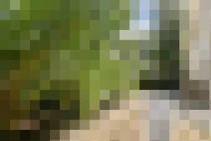 Kometensingel 59 Amsterdam thumbnail 21