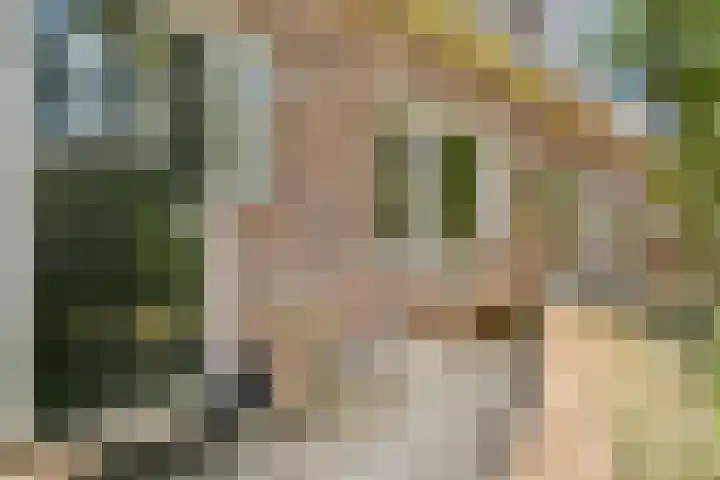 Kometensingel 59 Amsterdam thumbnail 22