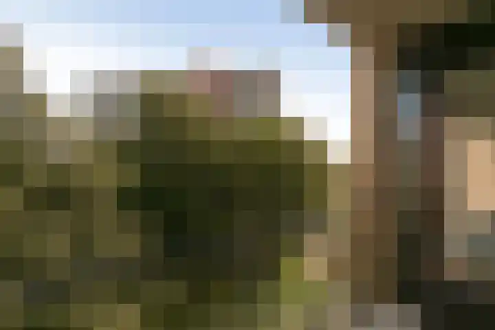 Kometenstraat 58 Purmerend thumbnail 18
