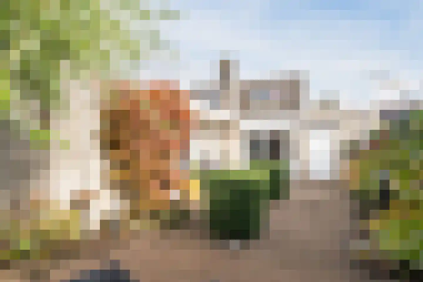 Komijnveld 2 Veghel thumbnail 36
