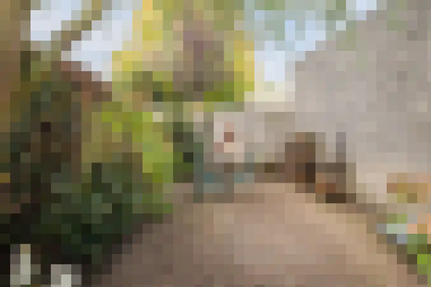 Komijnveld 2 Veghel thumbnail 38