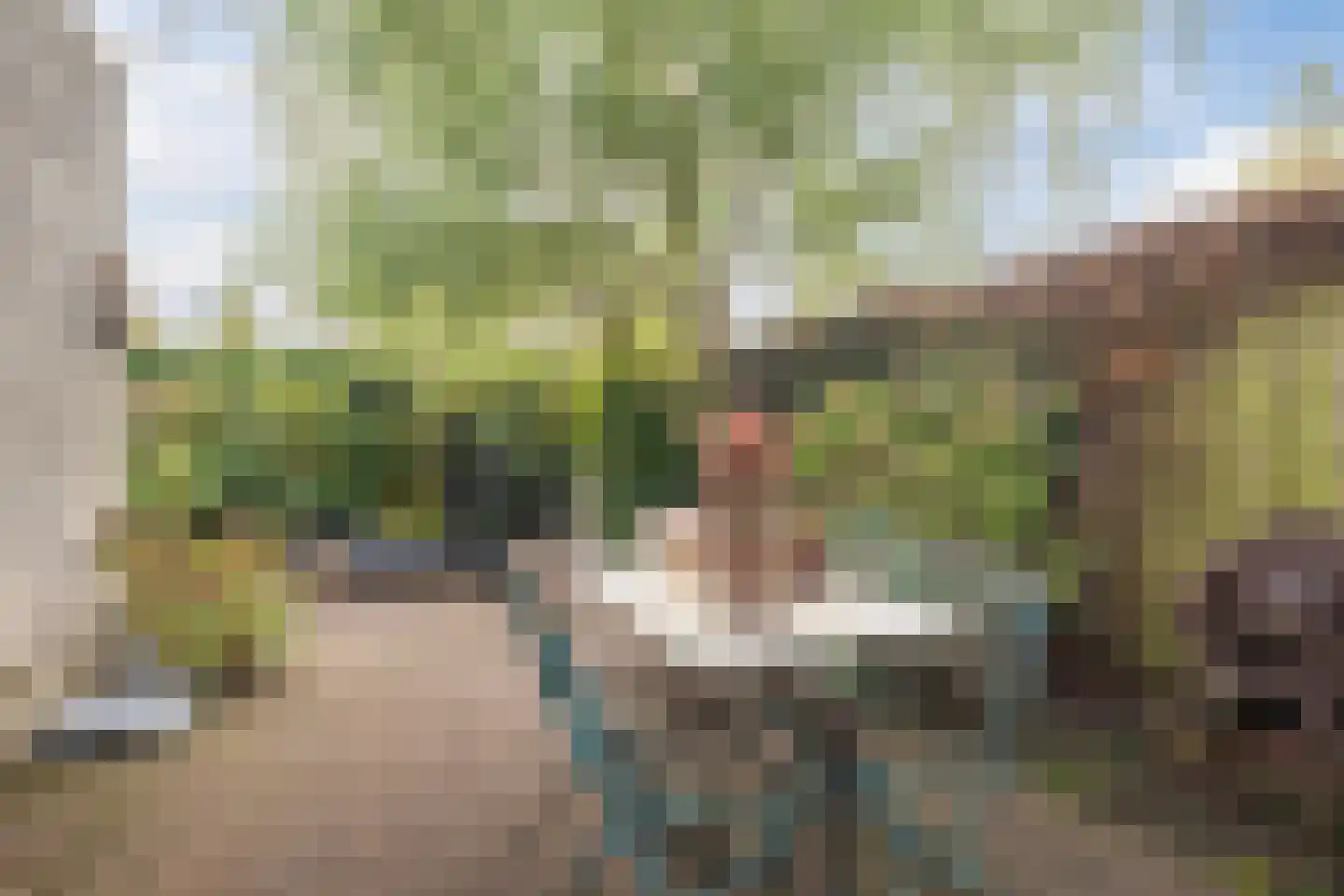 Komijnveld 2 Veghel thumbnail 39