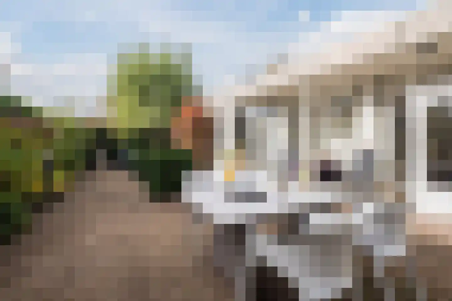Komijnveld 2 Veghel thumbnail 5