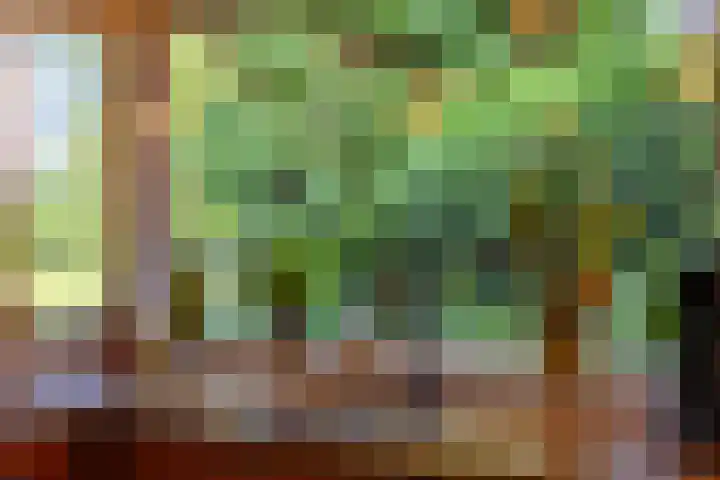 Kommerdijk 13 Gendt thumbnail 16