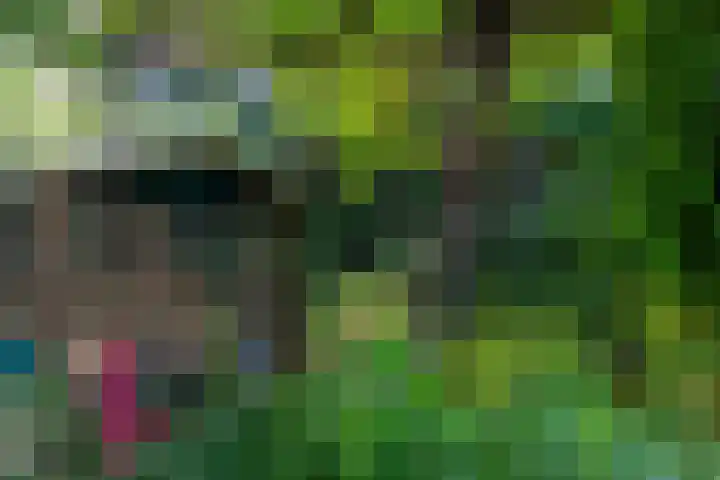 Kommerdijk 13 Gendt thumbnail 31