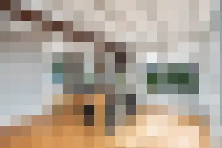 Kommisjewei 76 Opeinde thumbnail 11