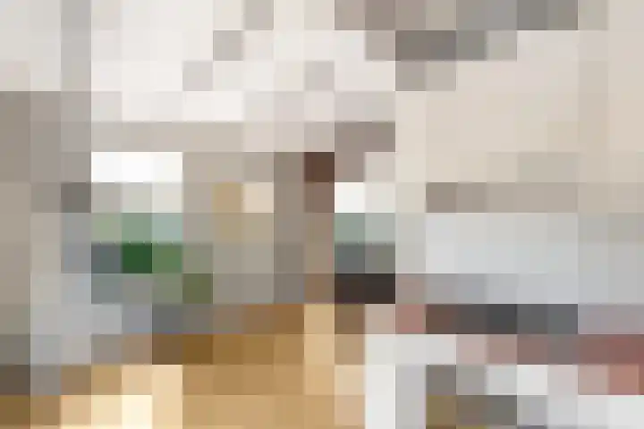 Kommisjewei 76 Opeinde thumbnail 16
