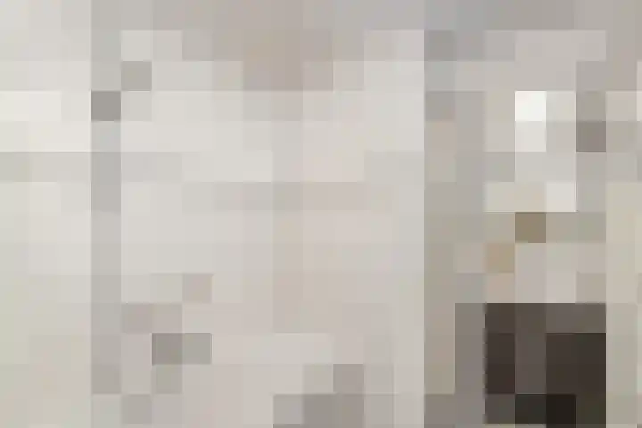 Kommisjewei 76 Opeinde thumbnail 22