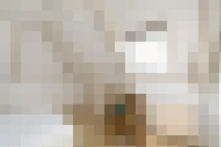 Kommisjewei 76 Opeinde thumbnail 31