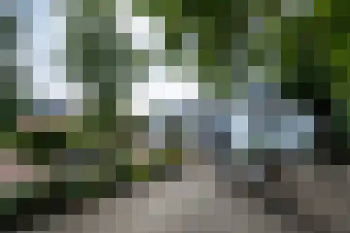 Kommisjewei 76 Opeinde thumbnail 37