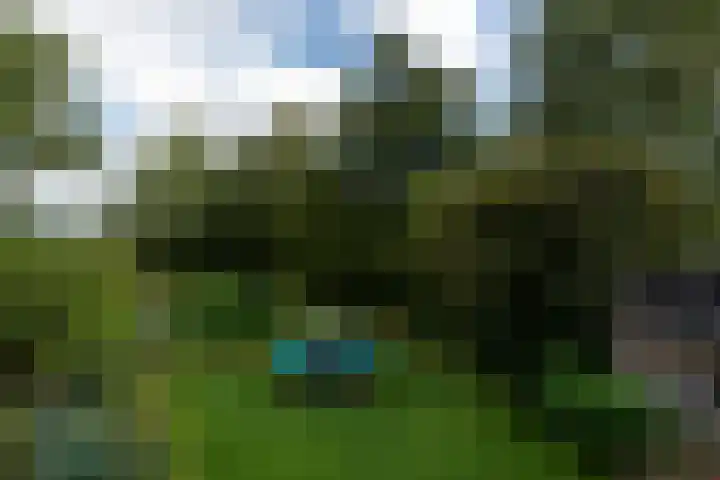 Kommisjewei 76 Opeinde thumbnail 39