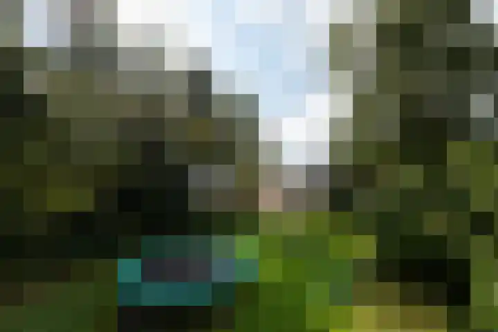 Kommisjewei 76 Opeinde thumbnail 42