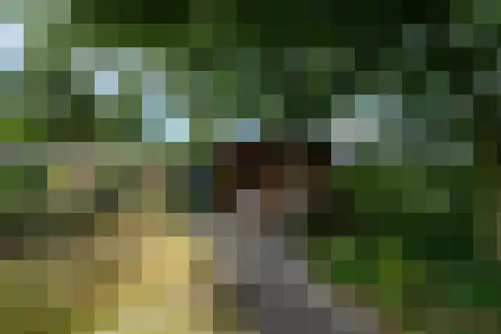 Kommisjewei 76 Opeinde thumbnail 43