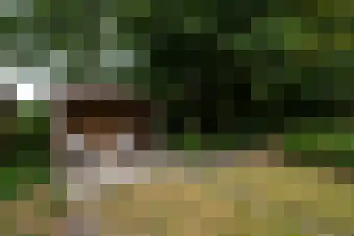 Kommisjewei 76 Opeinde thumbnail 44