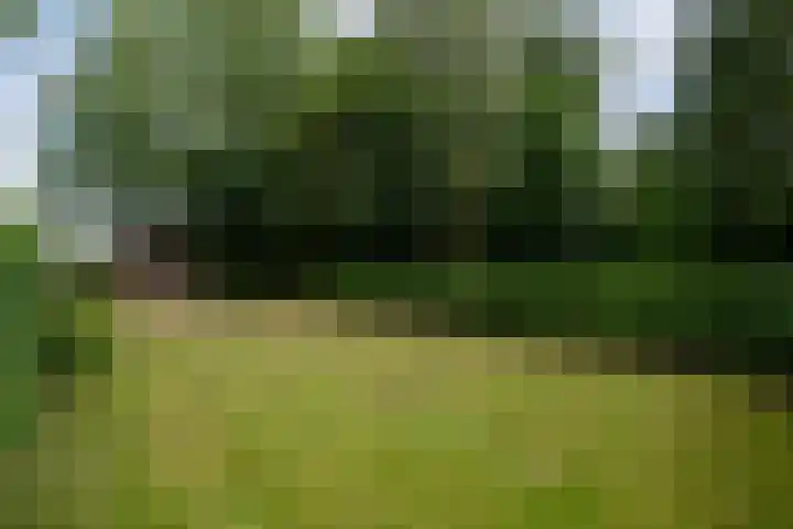 Kommisjewei 76 Opeinde thumbnail 46