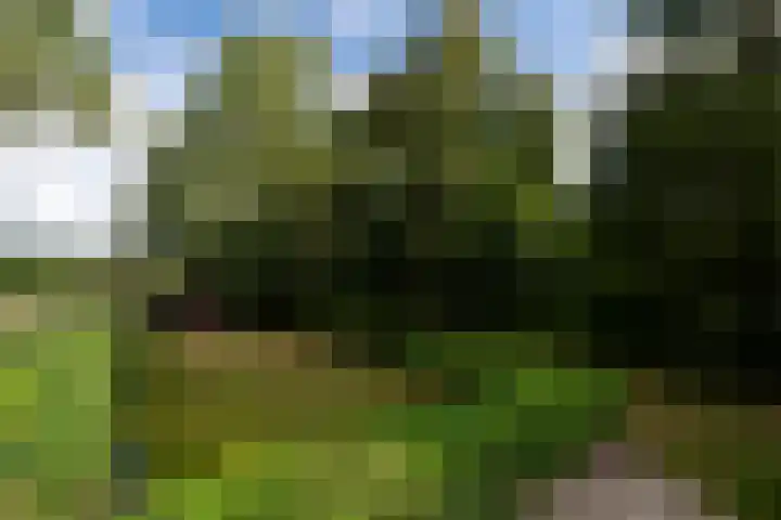 Kommisjewei 76 Opeinde thumbnail 47