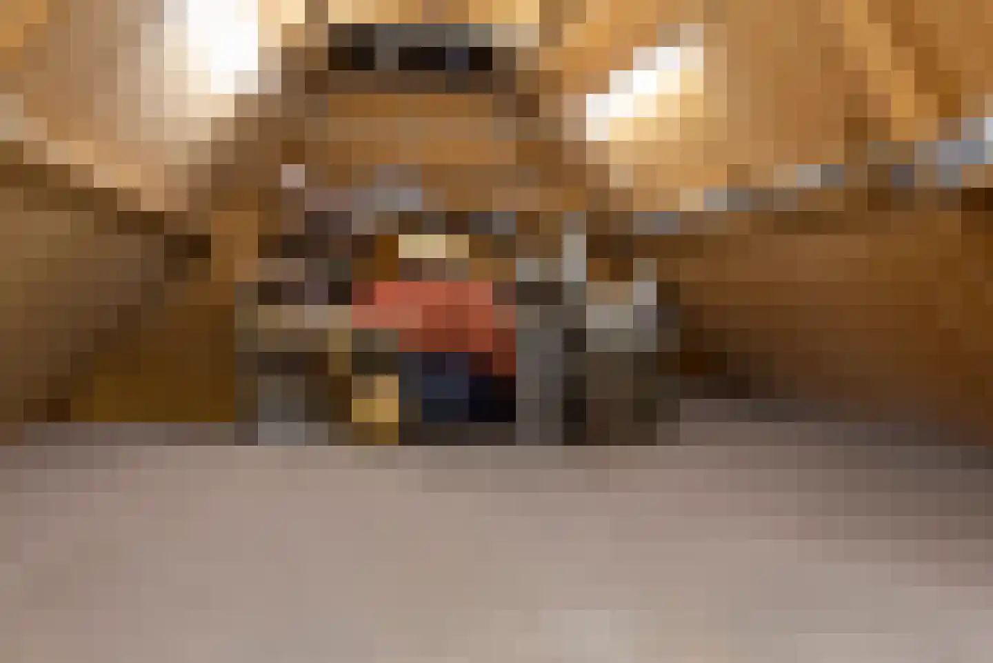 Kompas 2 Veenendaal thumbnail 33