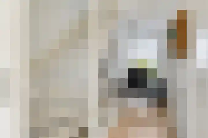 Kompas 9 Nijkerk thumbnail 17