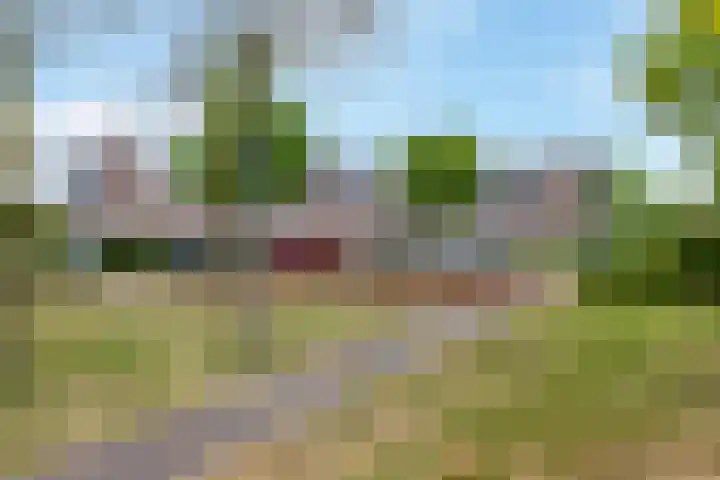 Kompas 9 Nijkerk thumbnail 29