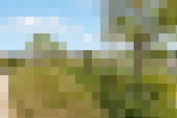 Kompas 9 Nijkerk thumbnail 30