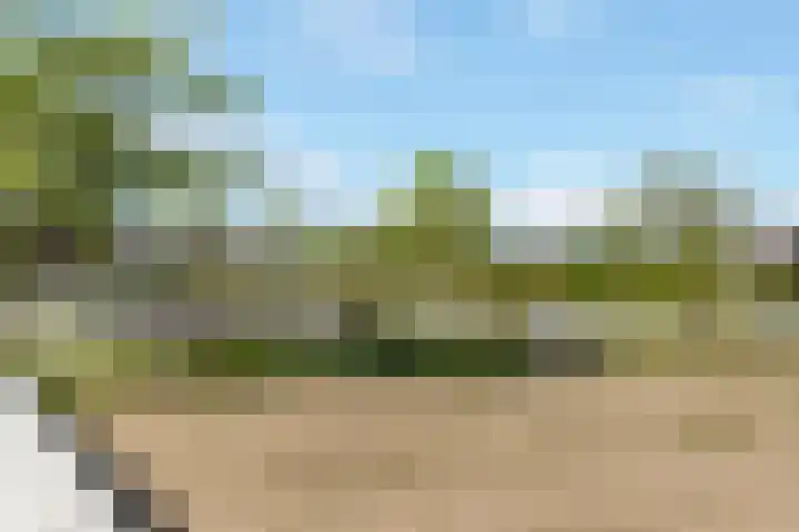 Kompas 9 Nijkerk thumbnail 32