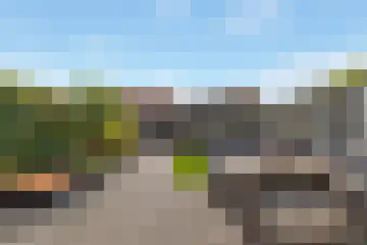 Kompas 9 Nijkerk thumbnail 5