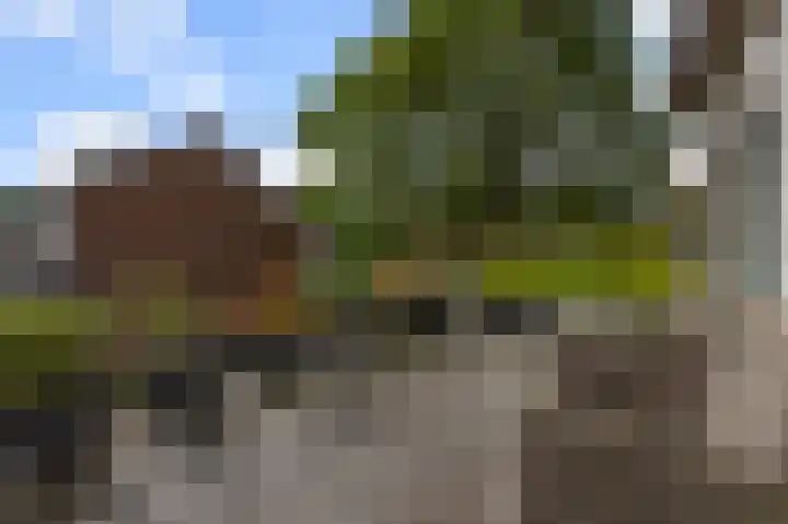 Kompasweg 61 Alkmaar thumbnail 16