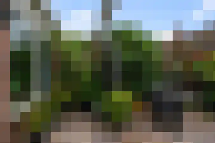 Kompasweg 61 Alkmaar thumbnail 35