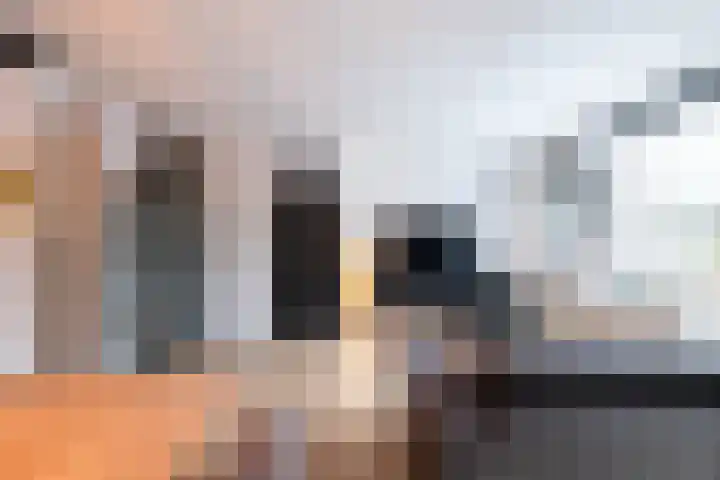 Konijn 14 Hellevoetsluis thumbnail 6