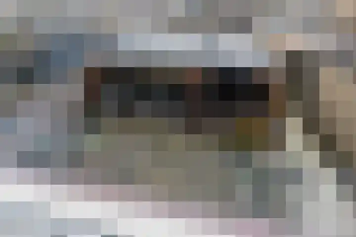 Konijnenberg 15 Halsteren thumbnail 35