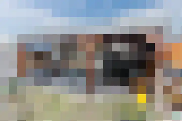 Konijnenberg 15 Halsteren thumbnail 39