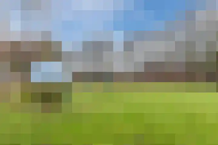 Konijnenberg 15 Halsteren thumbnail 45