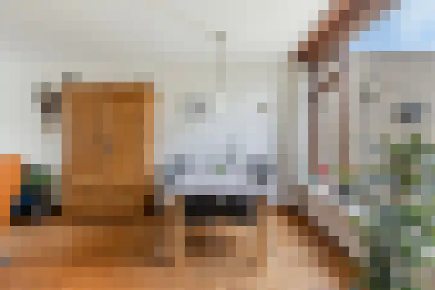 Konijnenberg 37 Halsteren thumbnail 13