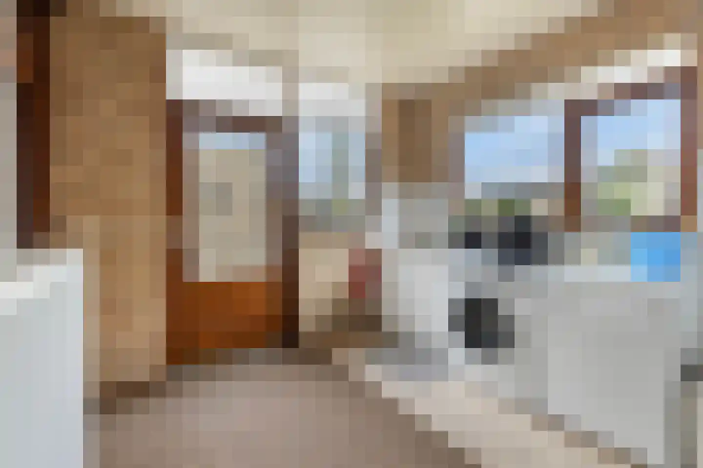 Konijnenberg 37 Halsteren thumbnail 22