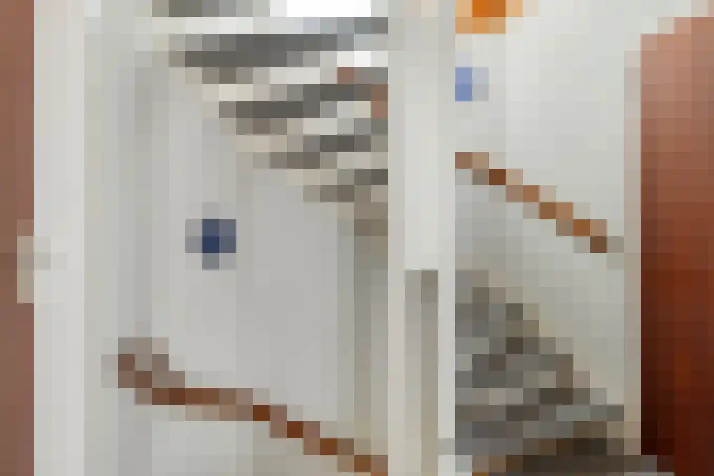 Konijnenberg 37 Halsteren thumbnail 24