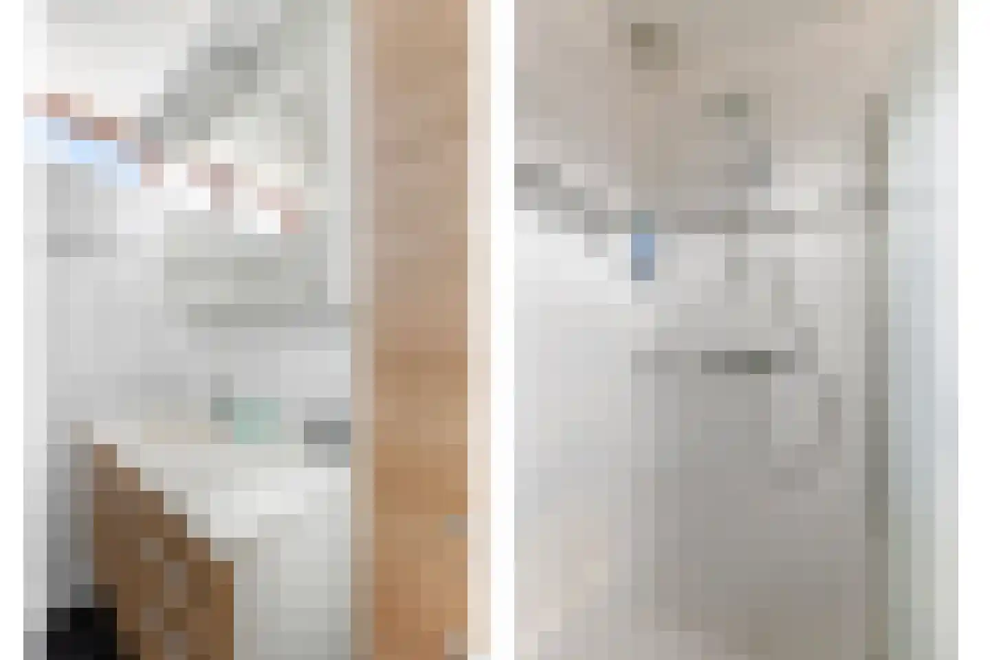Konijnenberg 37 Halsteren thumbnail 32