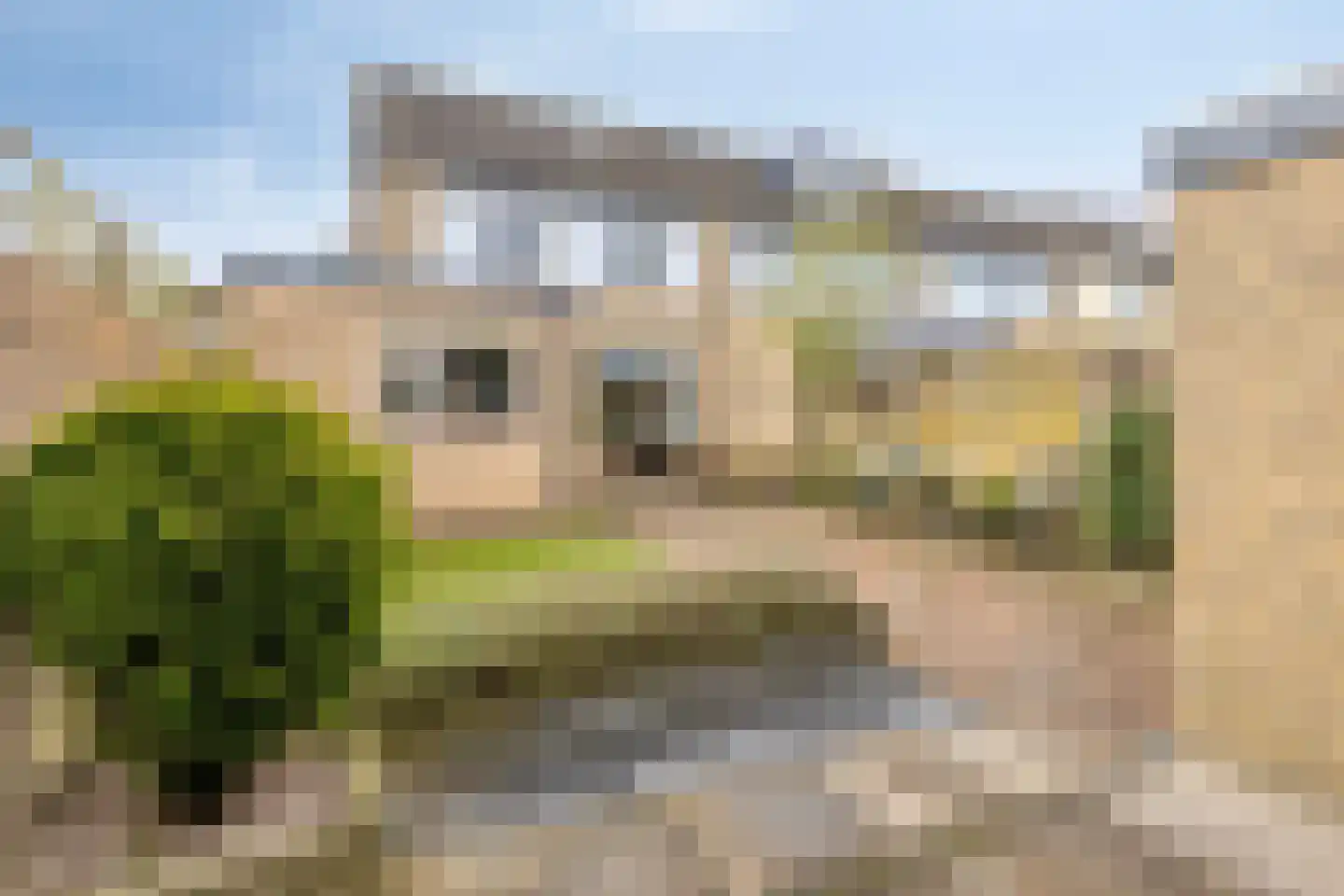 Konijnenberg 37 Halsteren thumbnail 37