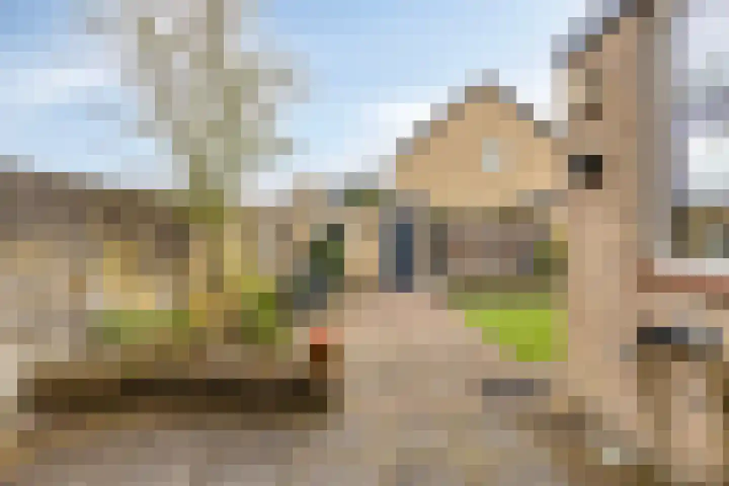 Konijnenberg 37 Halsteren thumbnail 38