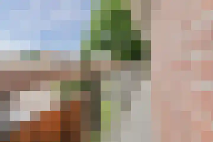 Konijnenberg 38 Halsteren thumbnail 39