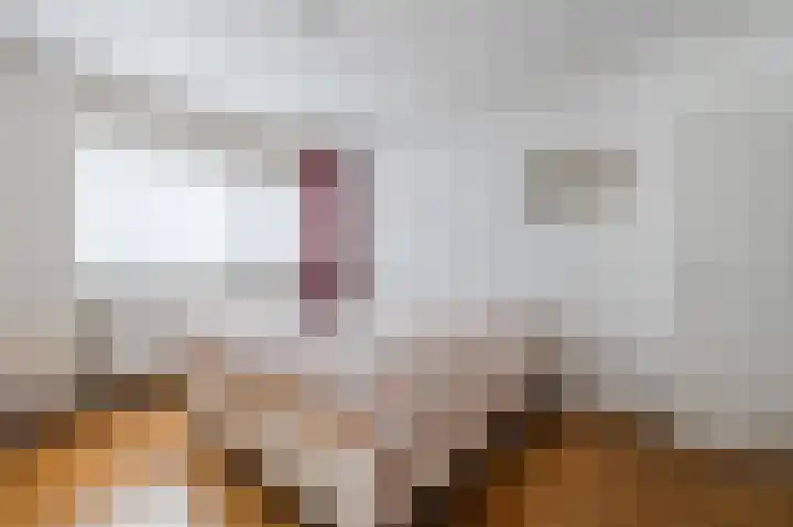 Konijnenberg 38 Halsteren thumbnail 4