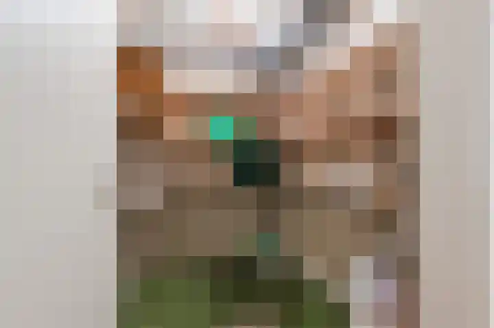 Konijnenberg 38 Halsteren thumbnail 42