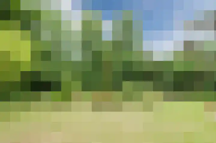 Konijnenberg 38 Halsteren thumbnail 46