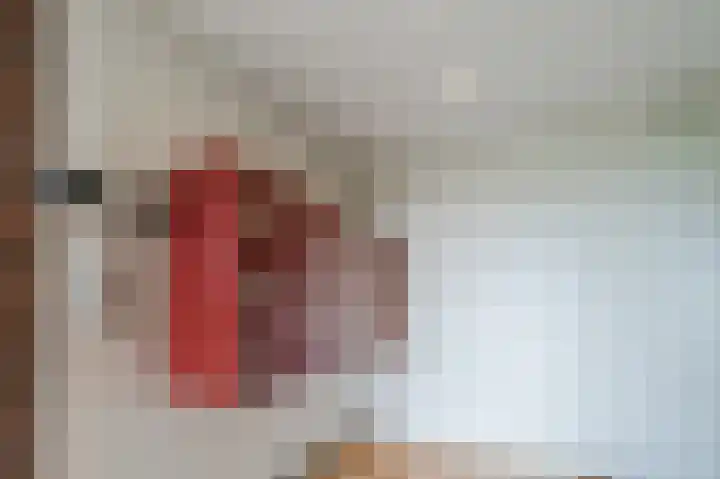 Konijnenberg 38 Halsteren thumbnail 8